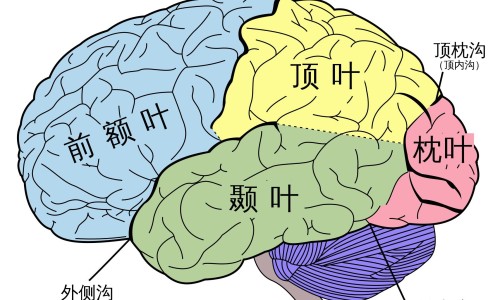 冠心病人可以跑马拉松吗网 - 为你提供冠心病可以跑步吗晨跑到底好不好、冠心病人可以慢跑么